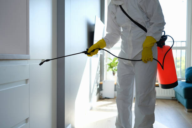 Mold Removal and Inspection in Pawnee, IL