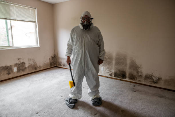 Professional Mold Removal in Pawnee, IL